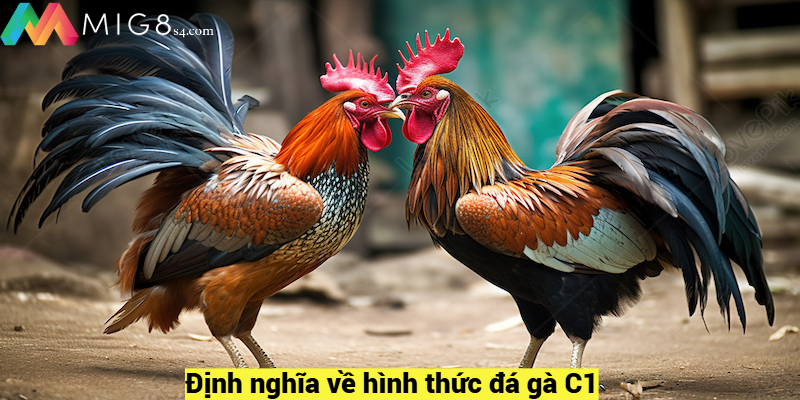 Định nghĩa về hình thức đá gà C1