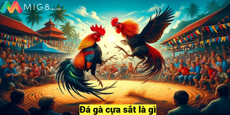 Đá gà cựa sắt là gì?
